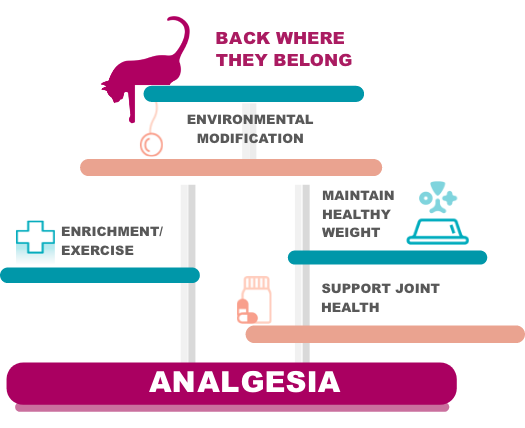 Back-where-belong-updated