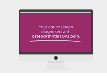 Feline Osteoarthritis Education Series