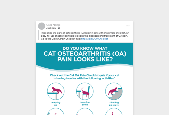 PreDiagnosisChecklistPoster