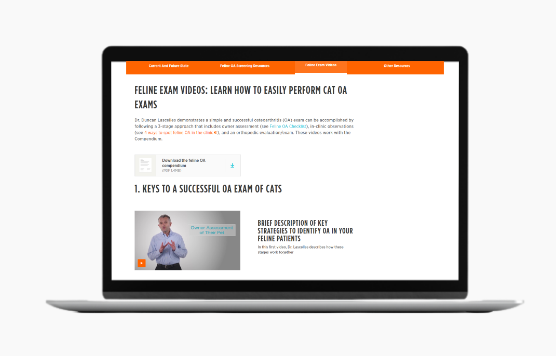 tips-for-examination-updated